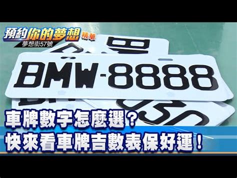 汽車紅色車牌是什麼意思|號牌大揭密之”數字會說話”!!